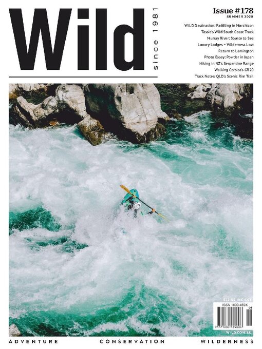 Cover image for Wild